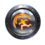 Force Pulse
