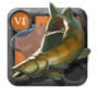 Brightscale Zander