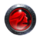 Anguished Soul