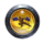 Dragon Leap