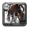 Elder's Fisherman Backpack