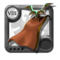 Elder's Undead Cape