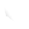 File:TUI Icon Resource Raw WildCreature Otter.webp