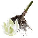 File:TUI Icon Consumable RootingBall DatePalm.webp