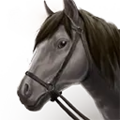 Thumbnail for version as of 02:24, 18 November 2024