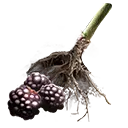 File:TUI Icon Consumable RootingBall Blackberry.webp
