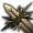 Shield Strike - Critical Hit Chance ▼