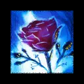 Thumbnail for version as of 13:40, 19 January 2022
