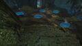 Thumbnail for version as of 22:14, 12 February 2022
