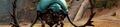 Thumbnail for version as of 18:59, 11 March 2023
