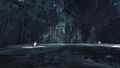 Thumbnail for version as of 16:01, 14 February 2022