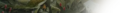 Thumbnail for version as of 11:56, 7 January 2022