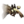 Lashtail Devourer