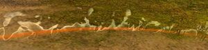 Fire field