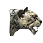 Snow Leopard