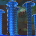 Thumbnail for version as of 00:05, 16 May 2024