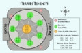 Thumbnail for version as of 14:56, 13 February 2022